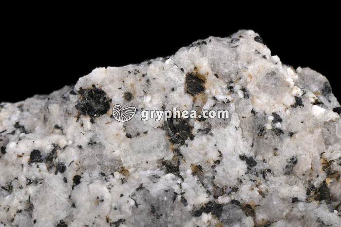 Granite - détail des minéraux - gryphea.com